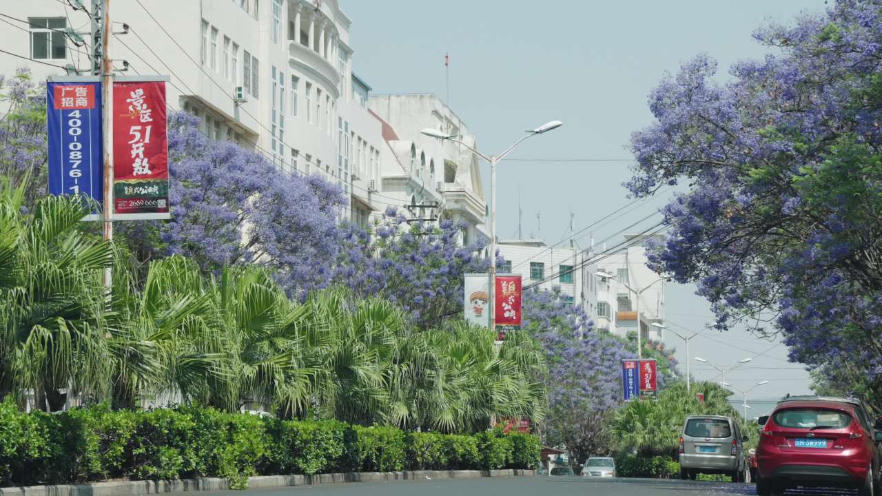 城市街道的春天