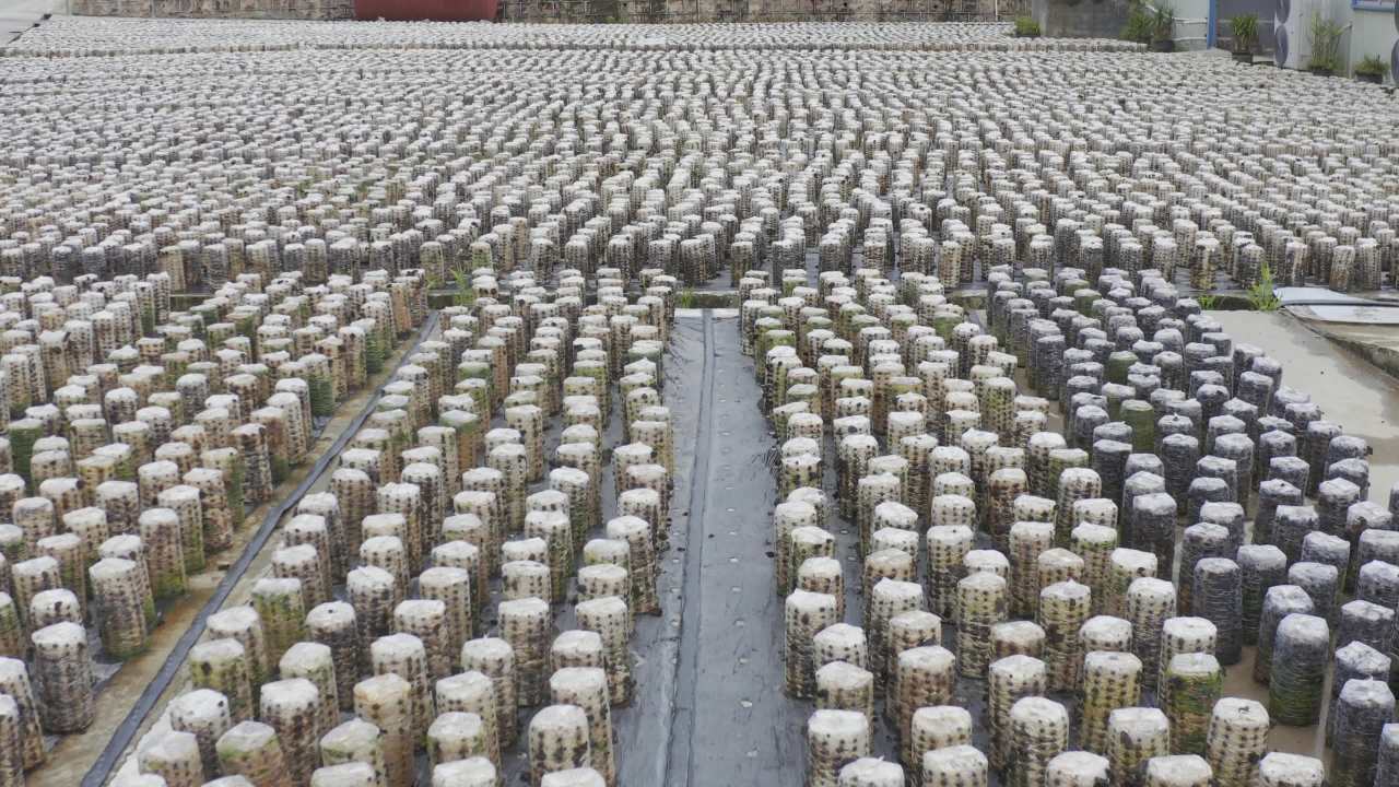 万亩农田的壮观景象