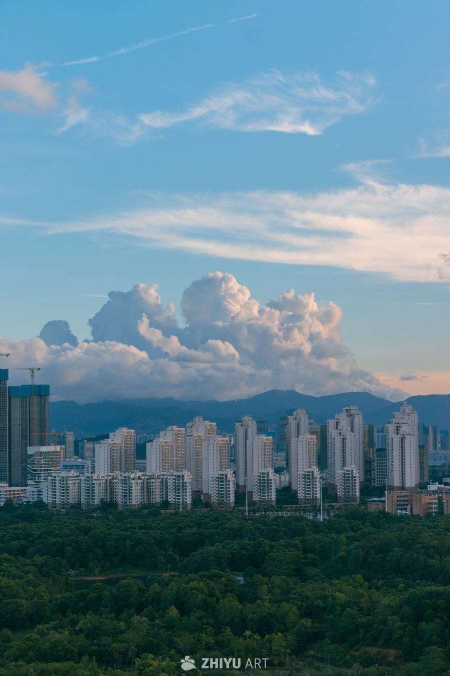 城市与自然的和谐画卷