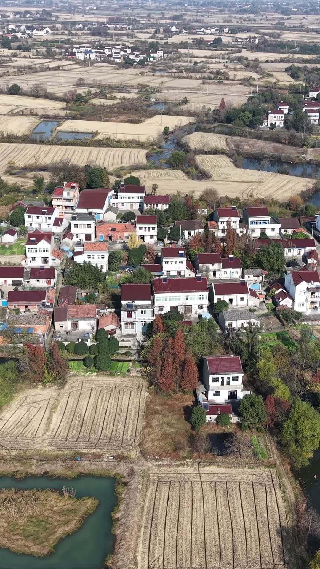 乡村秋景航拍