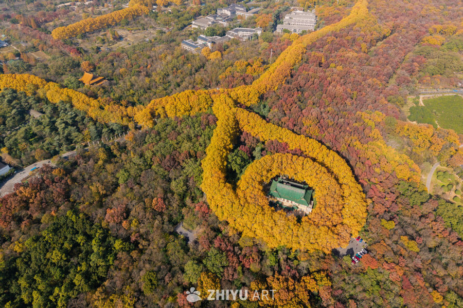 南京明孝陵美龄宫