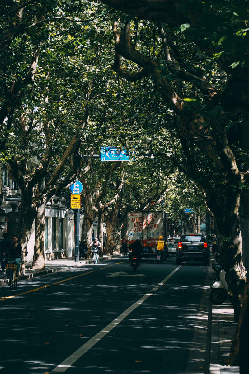 梧桐街道