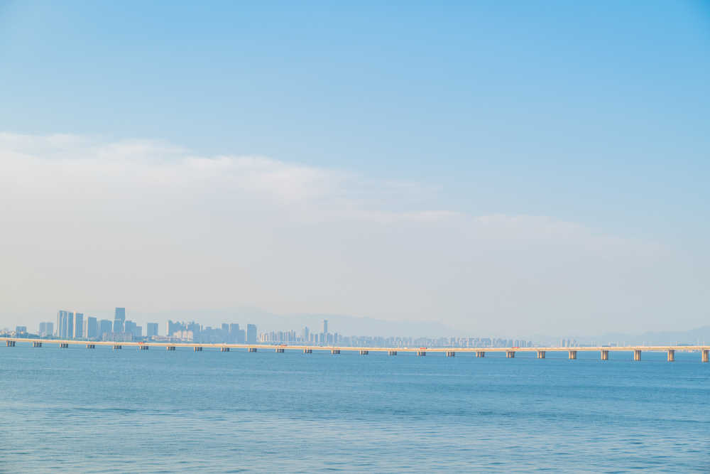 大海赴约