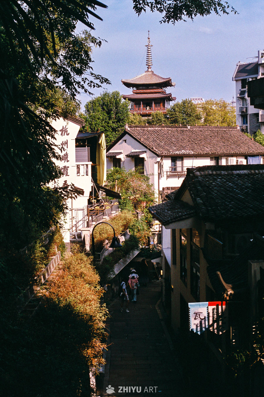 胶片 