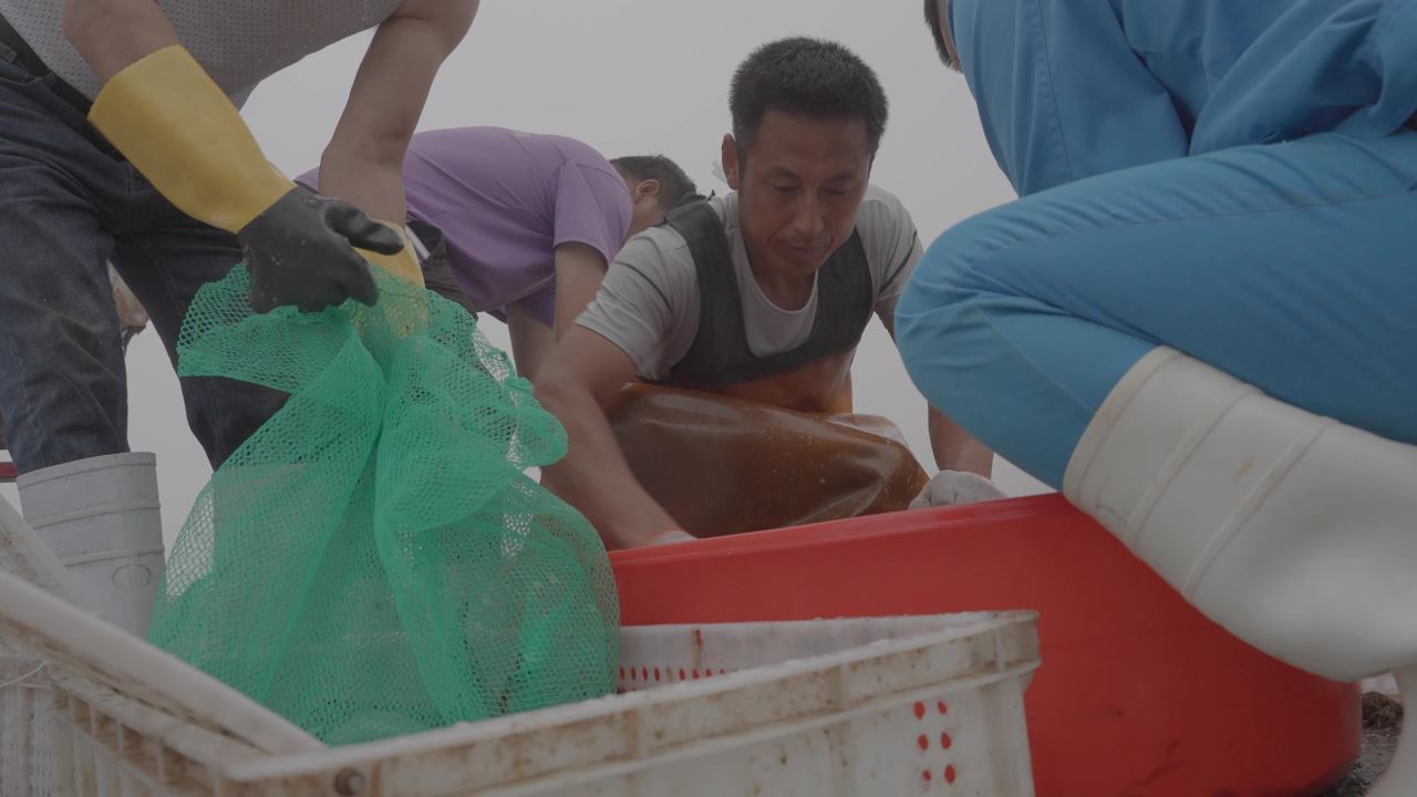 渔民海上捡拣鱼类工作场景