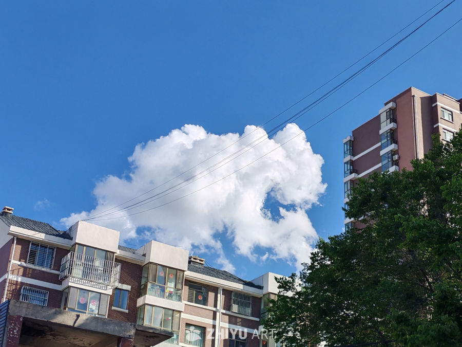 晴空下的城市住宅