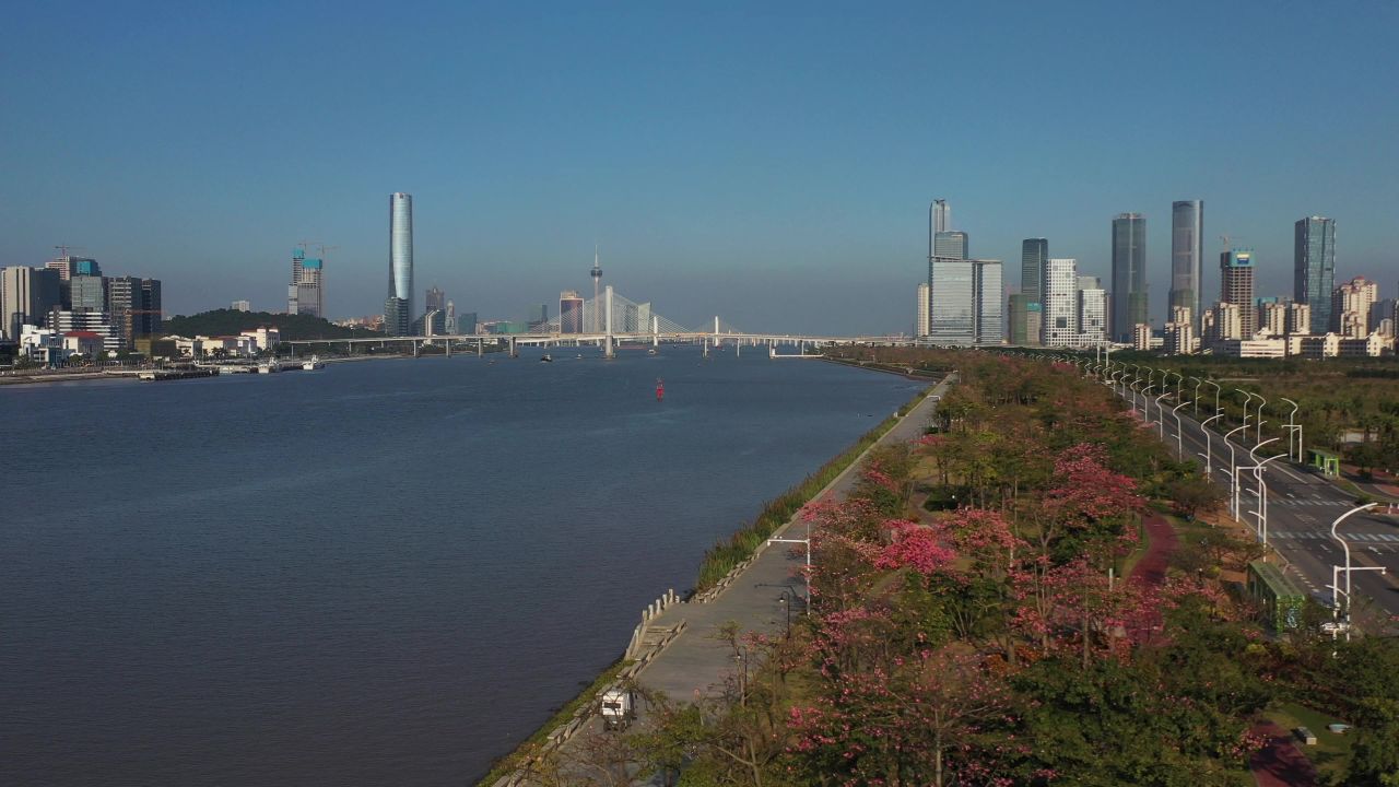 横琴花海长廊 7
