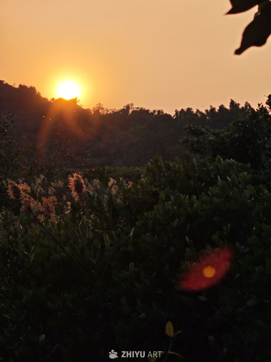 夕阳下的静谧自然