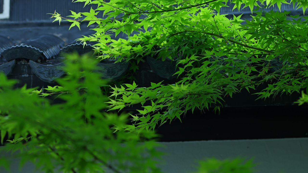 中式建筑空镜头 4