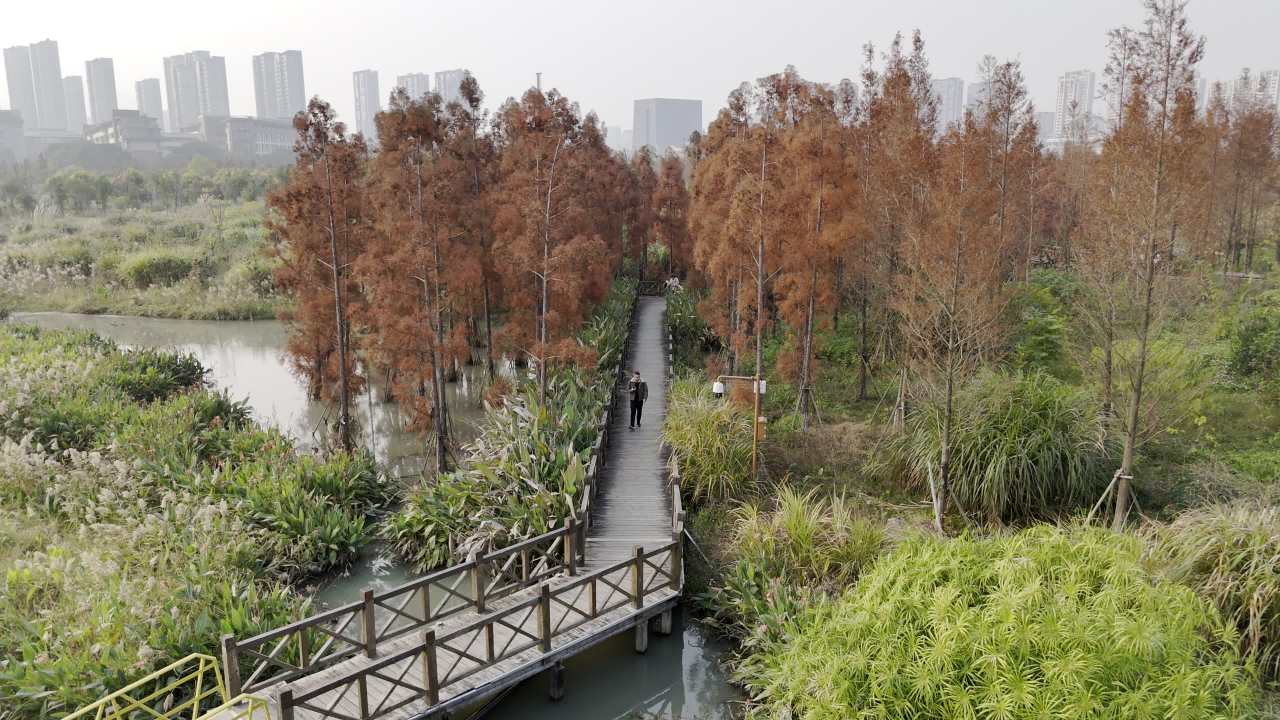 冬日的湿地 28