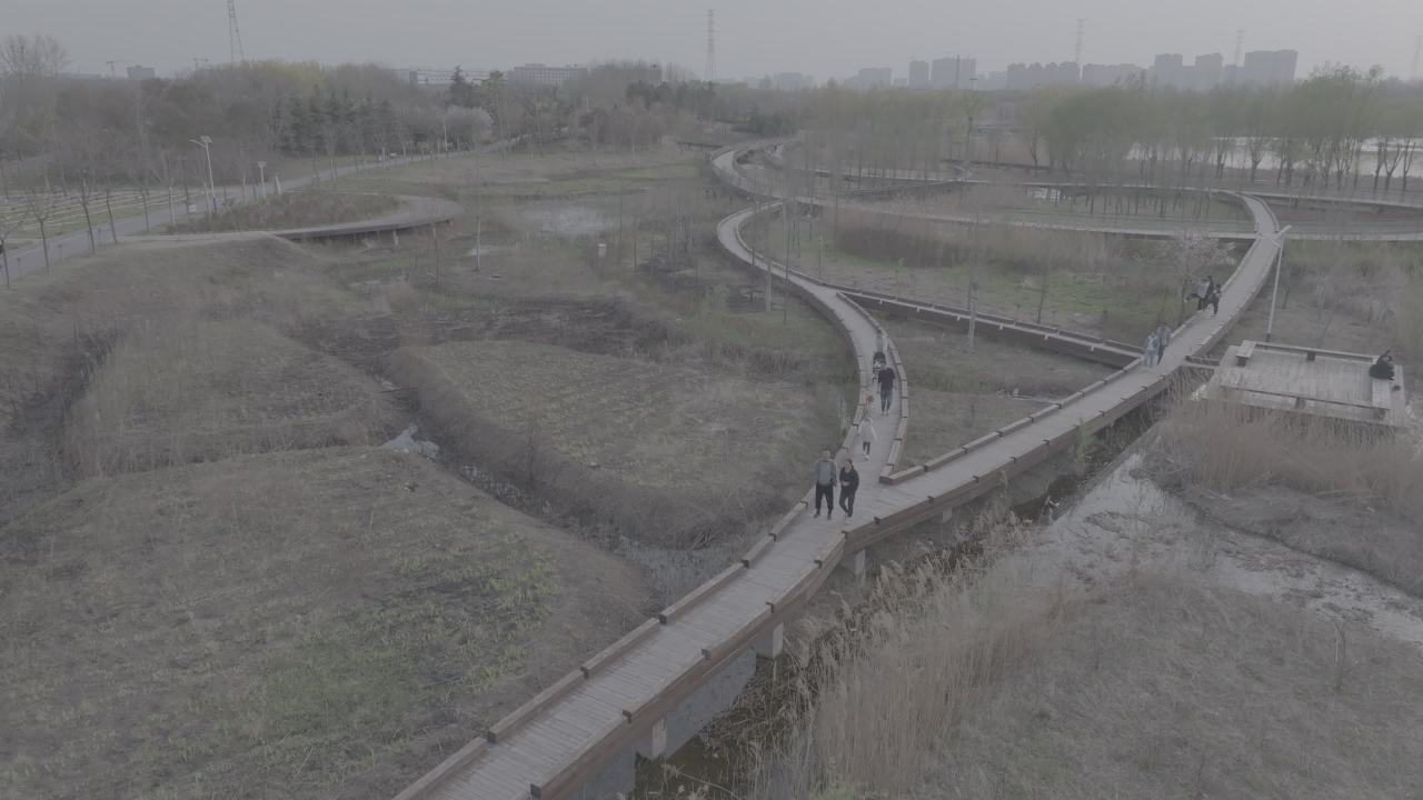 雾中公园漫步