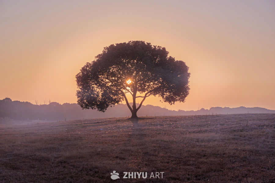 苏州阳澄湖日出晨雾
