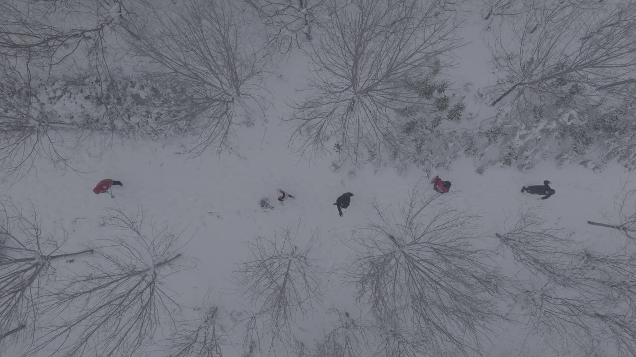 雪中漫步
