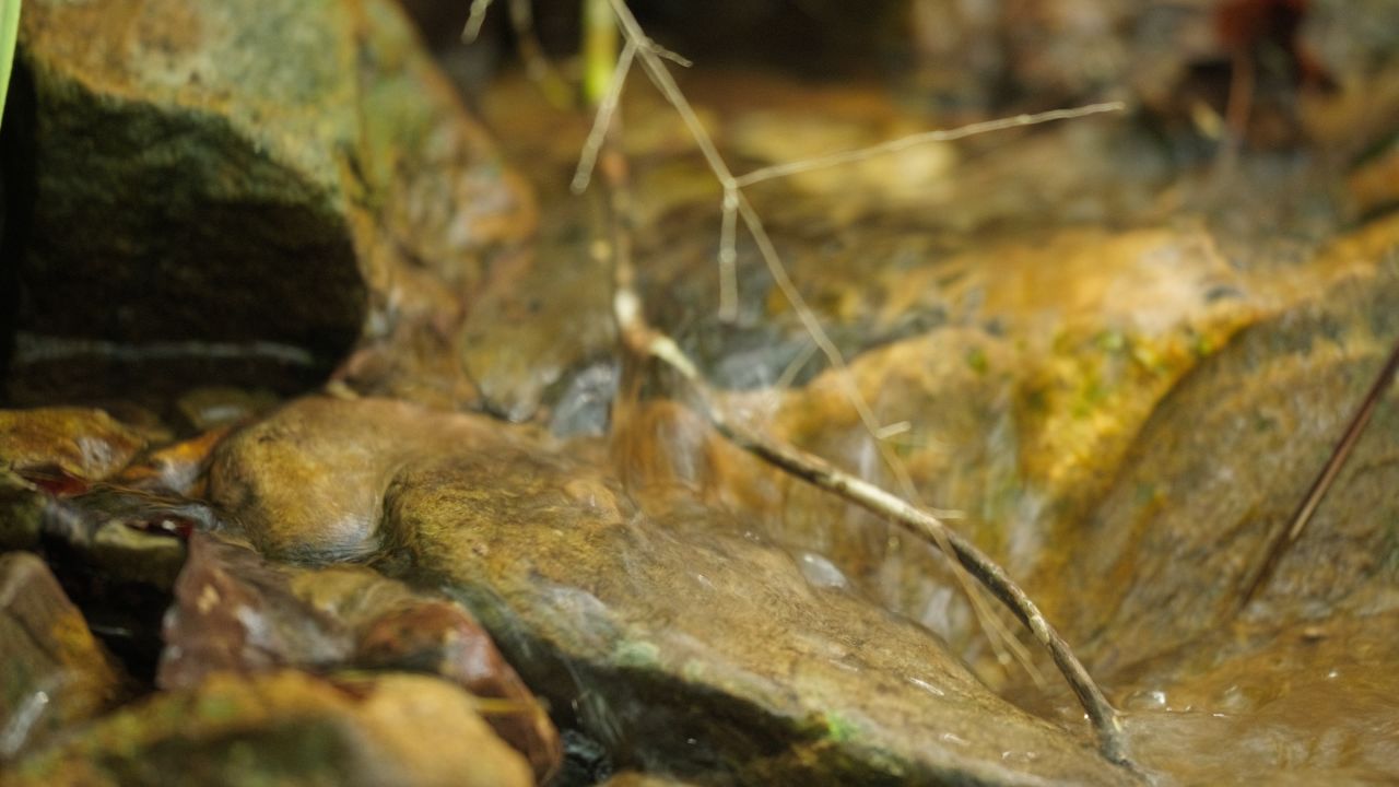 清澈山泉水温泉矿泉水小溪山涧 33