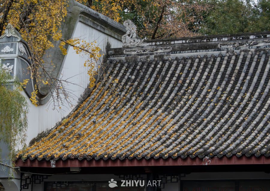 秋日古建瓦顶落叶