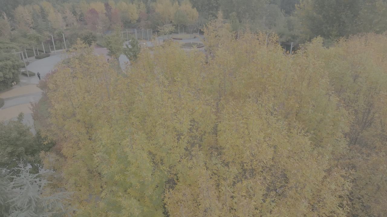 公园全景俯瞰