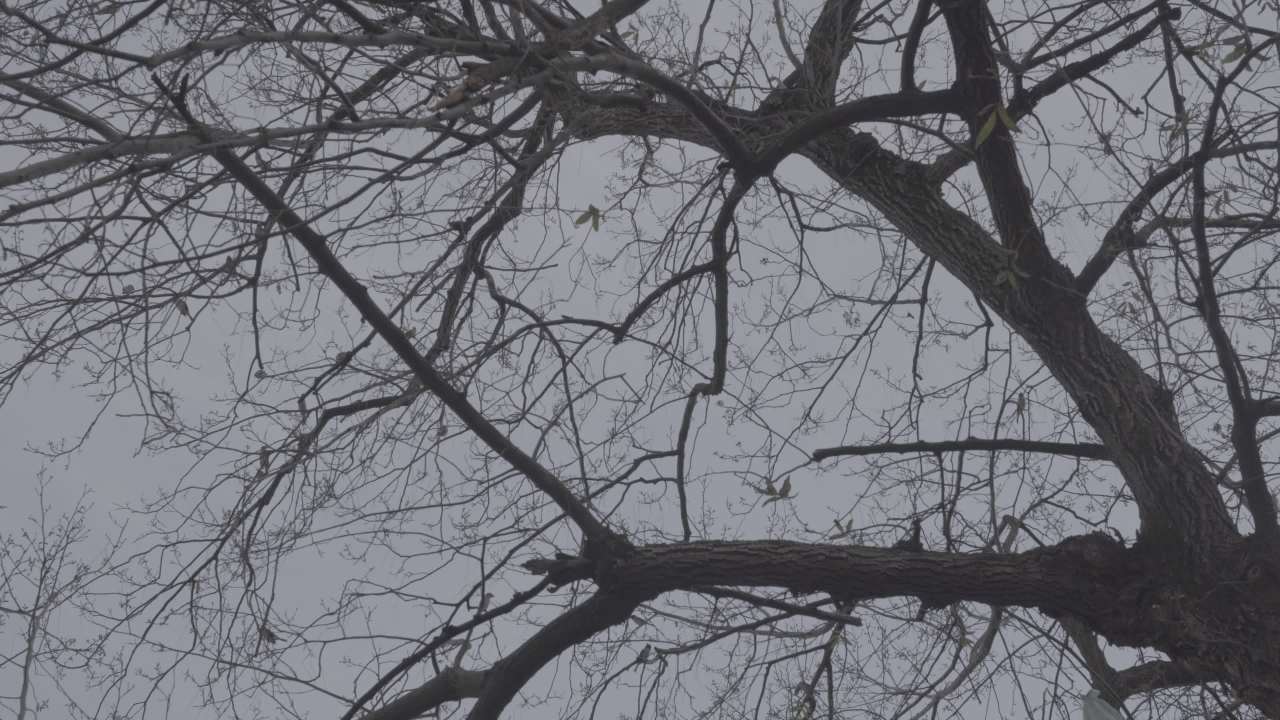 人文 46