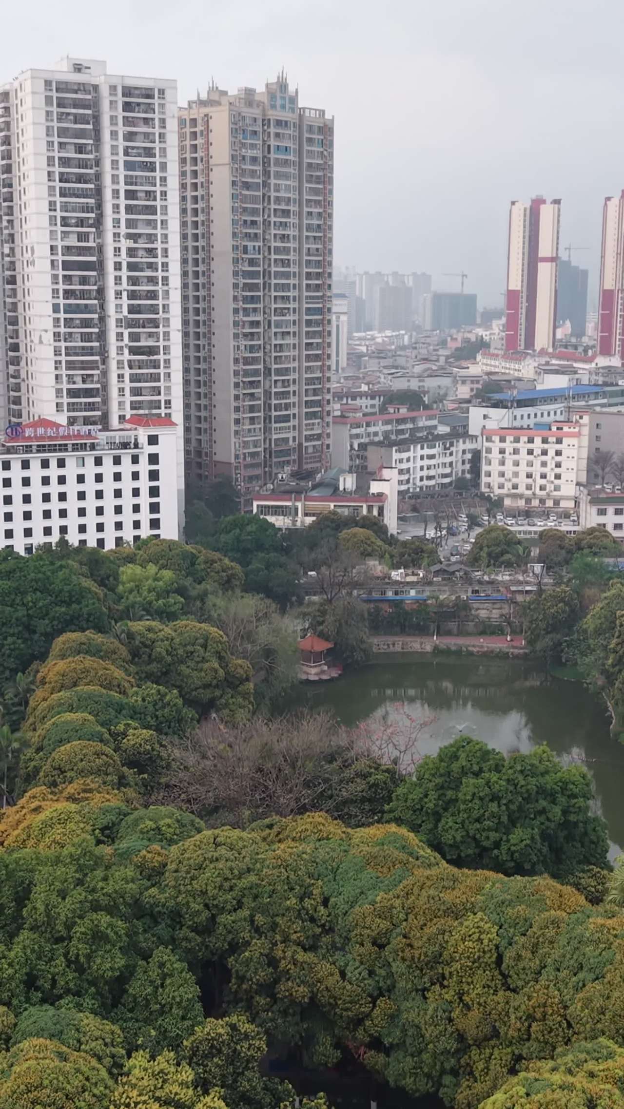 城市与自然的和谐共存