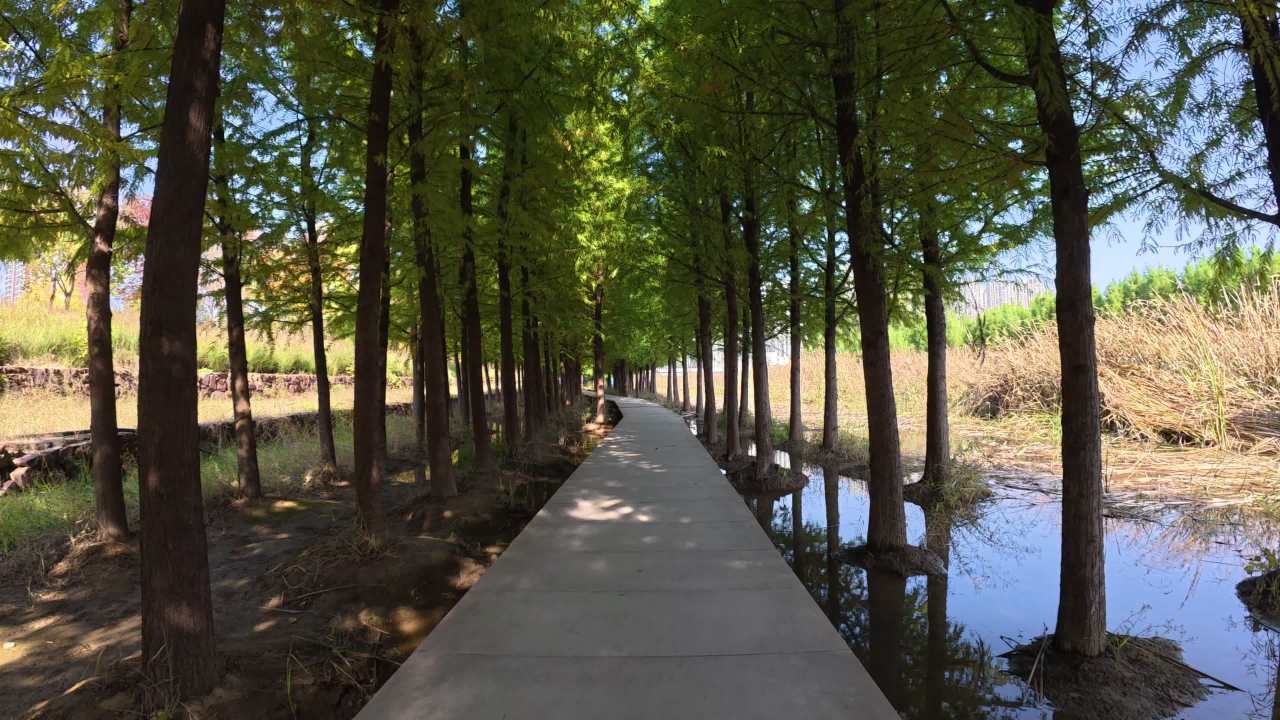 DJI OSMO NANO 4K实拍视频原片样片 21