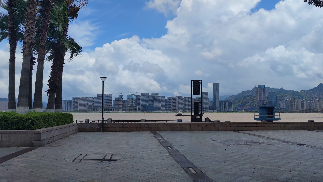 蓝天白云风吹树枝树叶植物实拍  