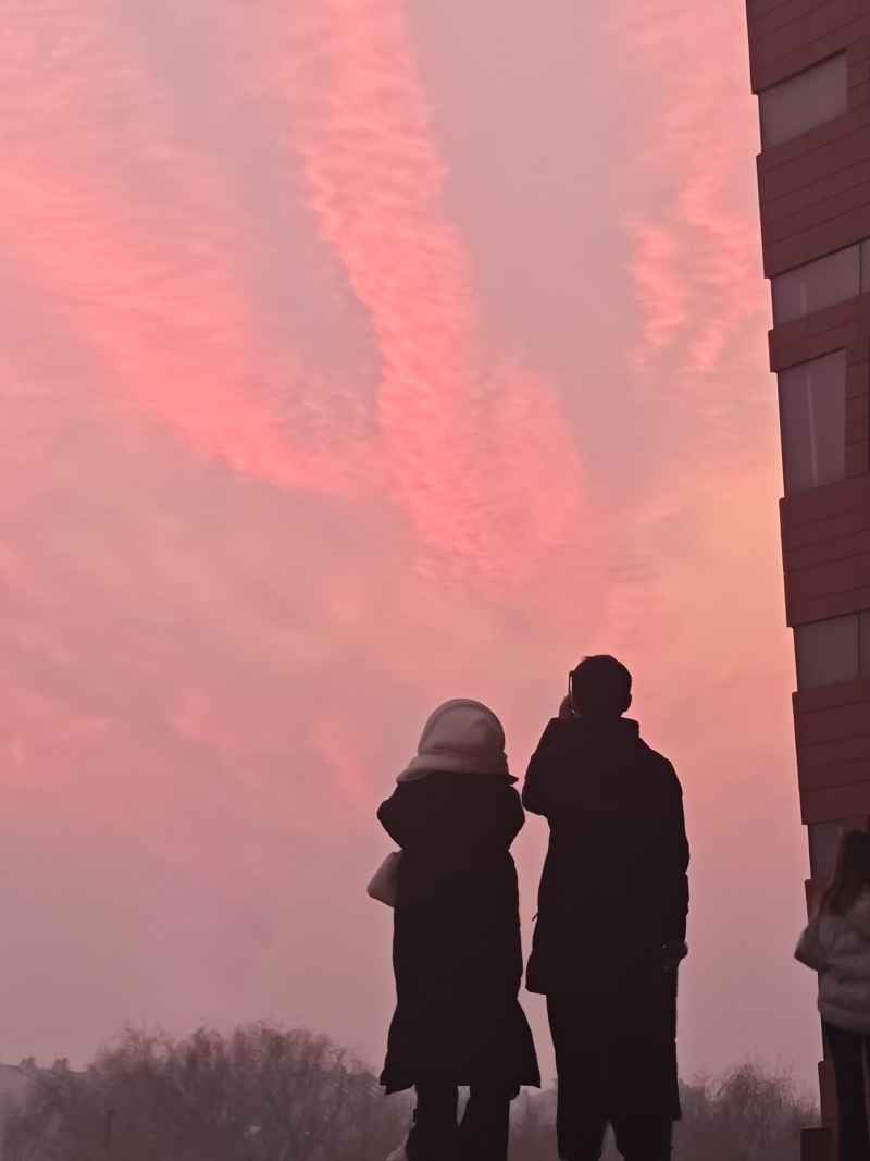 情侣，粉色天空