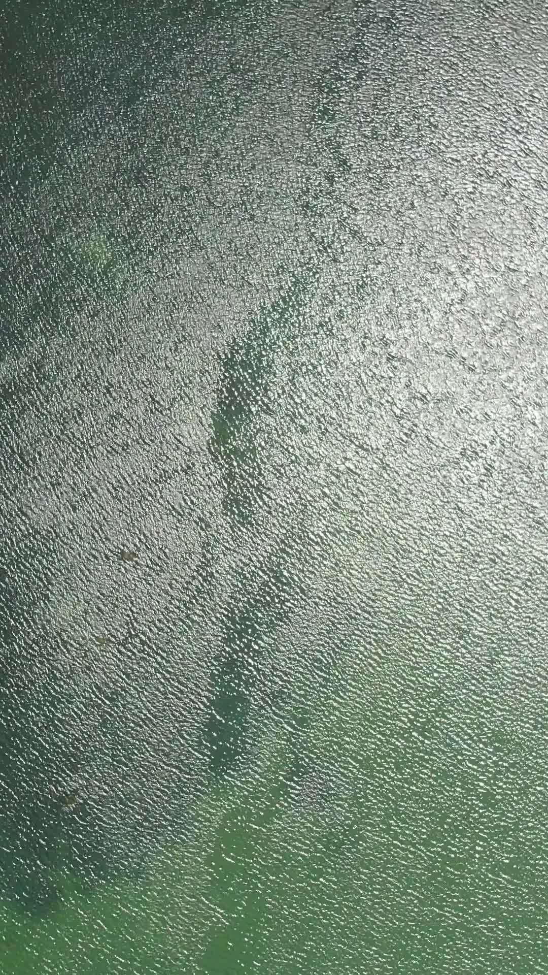 水面的光影舞动