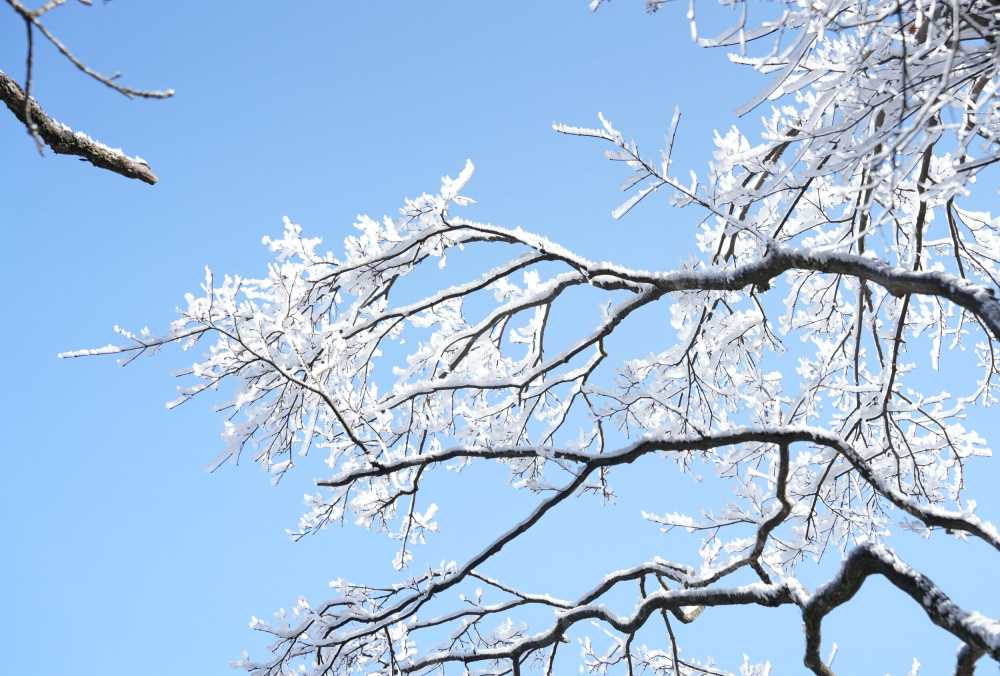 雪落黄山，雾凇云海——雪篇