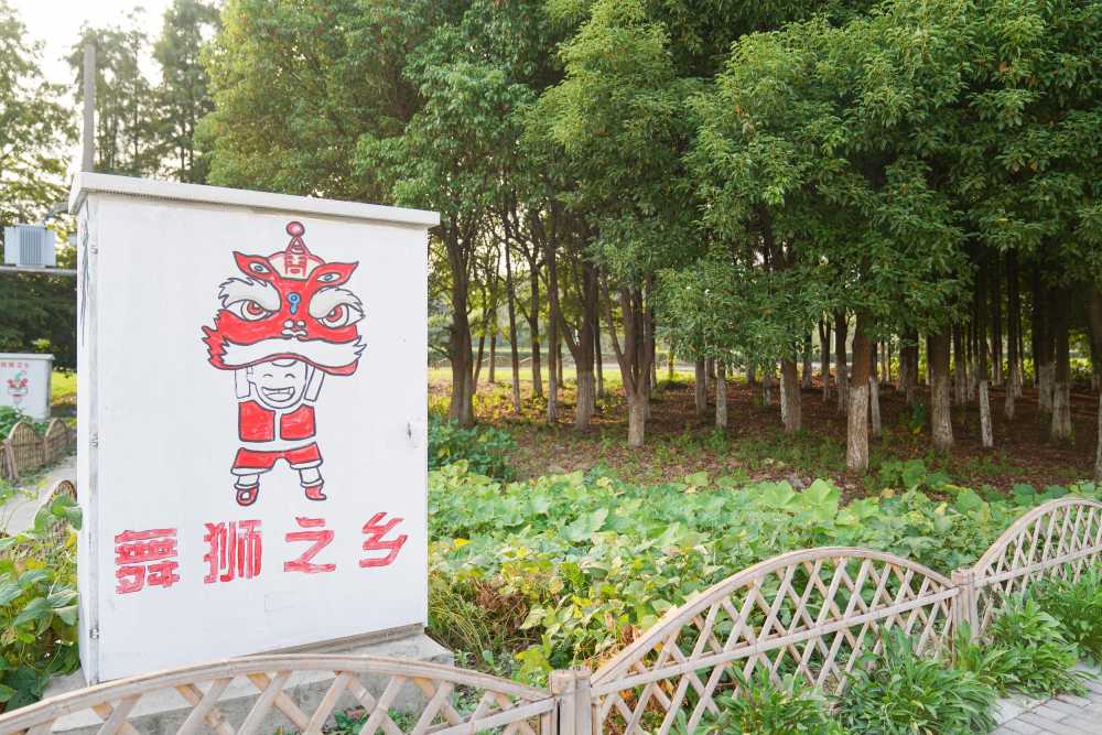 新农村风貌