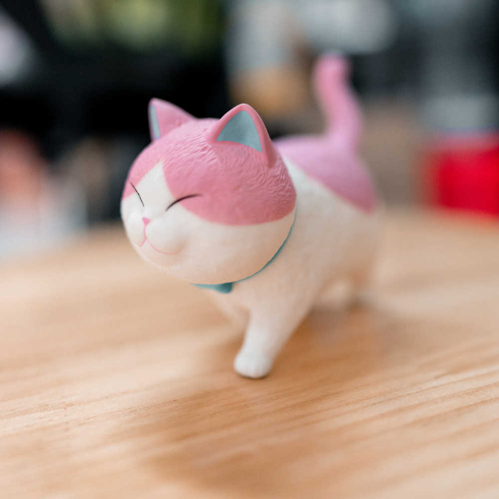 猫猫