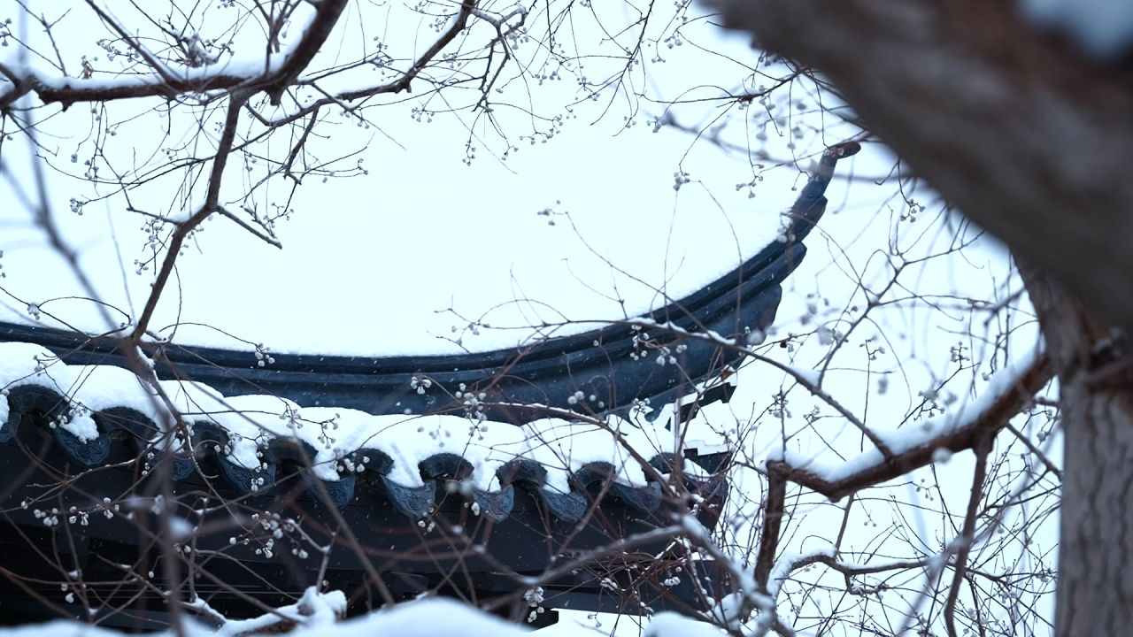 中式园林雪景 园林雪景 江南雪景 11