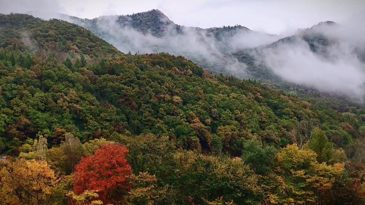 云雾飘渺绕山间 
