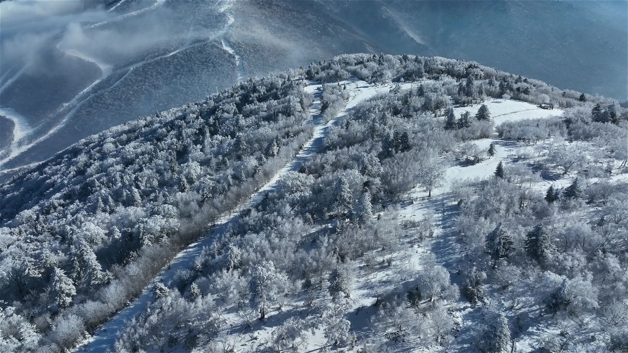 高山雾凇
