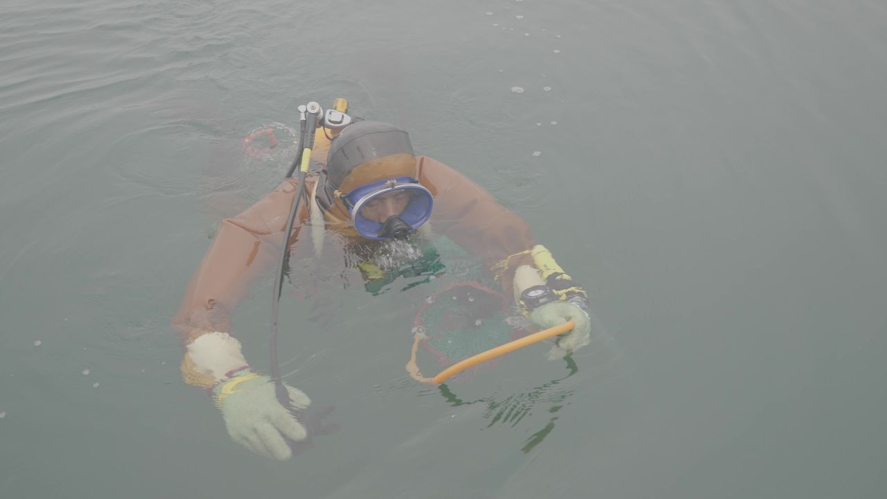 渔船捕捞海产现场