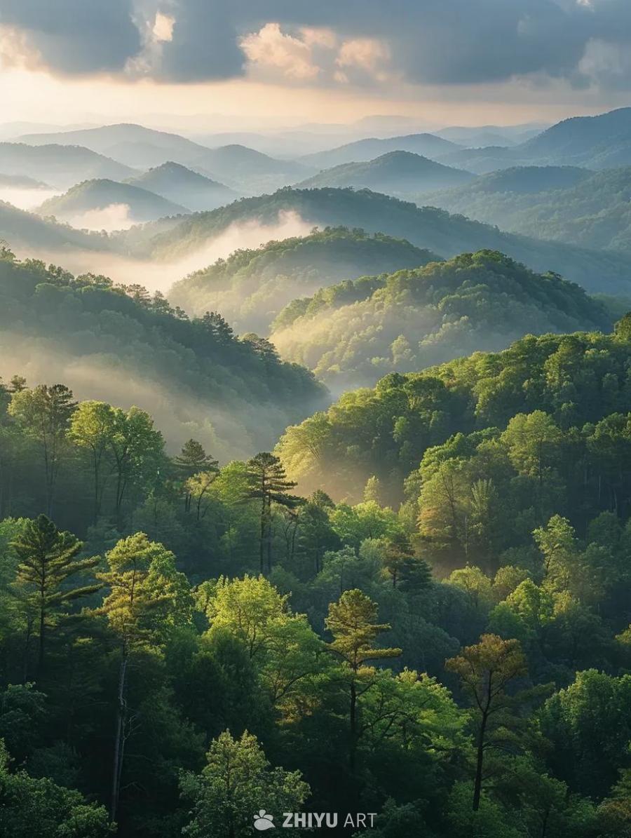 肯塔基山脉笼罩在薄雾中，山峰层峦叠嶂，郁郁葱葱的树