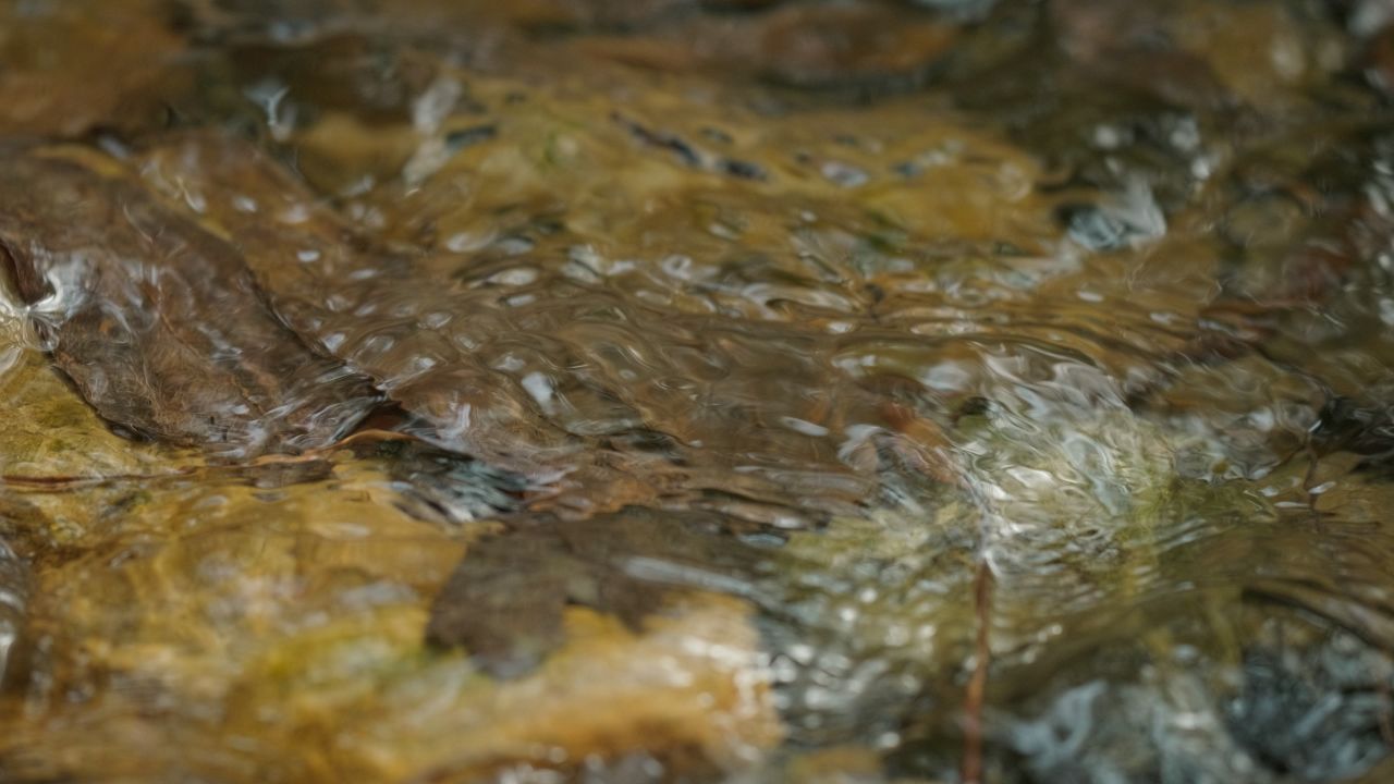 清澈山泉水温泉矿泉水小溪山涧 27