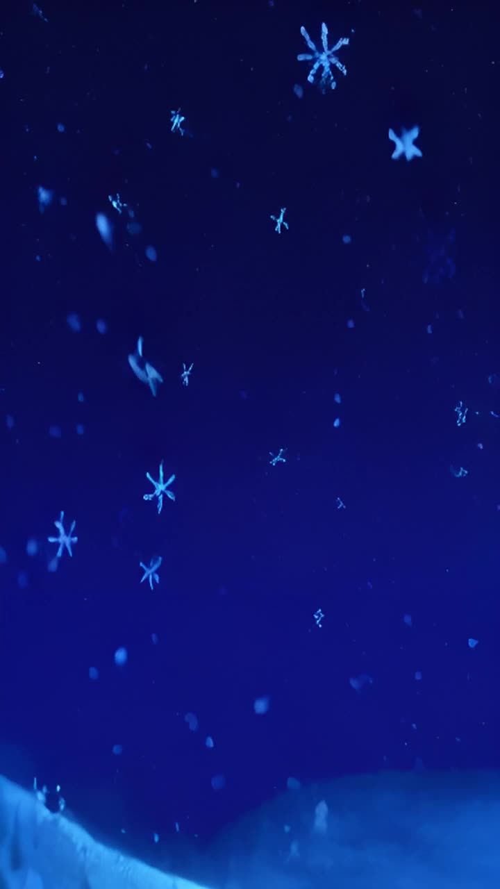 蓝色背景上飘落着白色雪花，雪花形态各异，有的清晰可