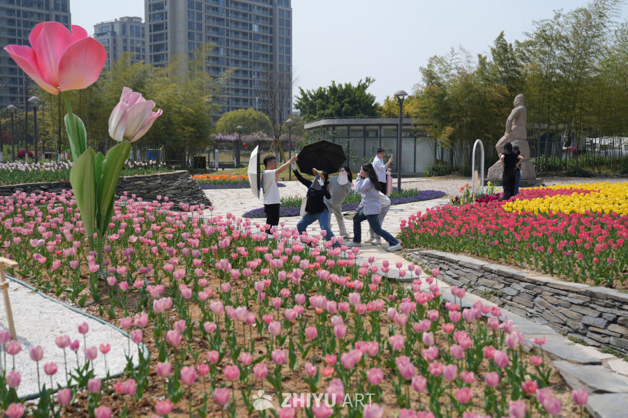 城市花园的春日时光