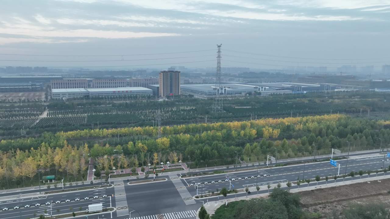 晨曦中的城市绿洲