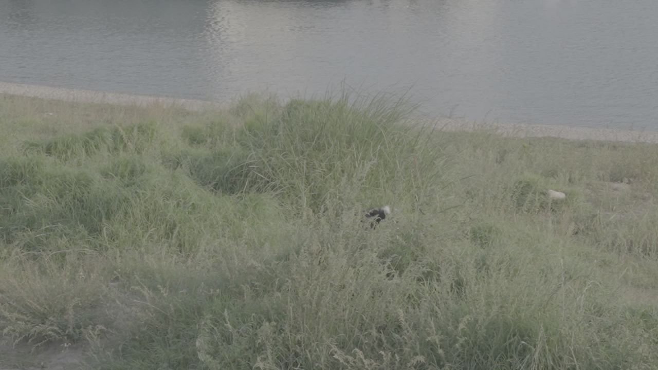宜昌江边 30