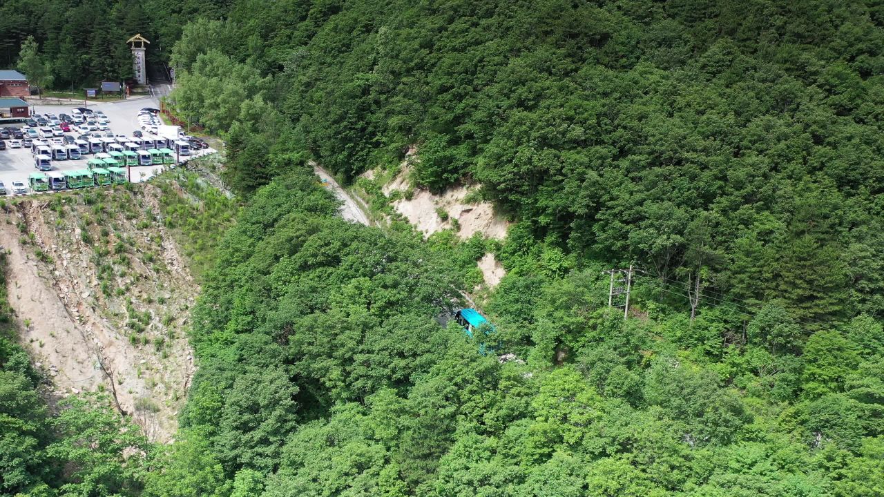 森林中的缆车之旅