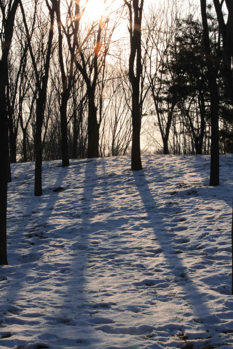 雪后 7