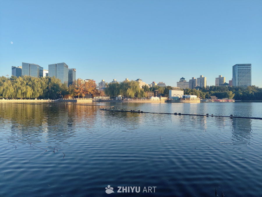 城市湖泊晴朗景观