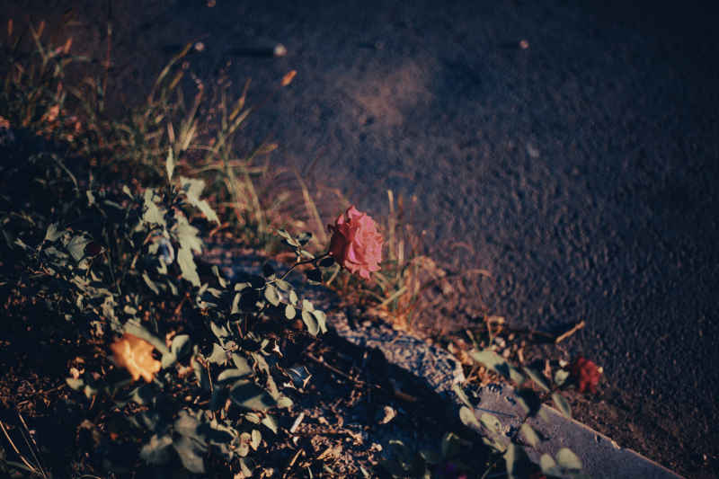 北京傍晚 7