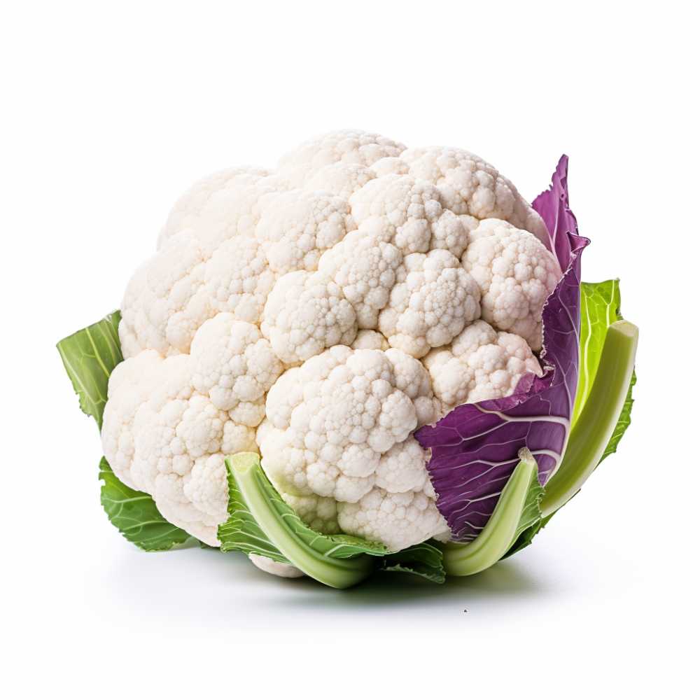 摄影元素
