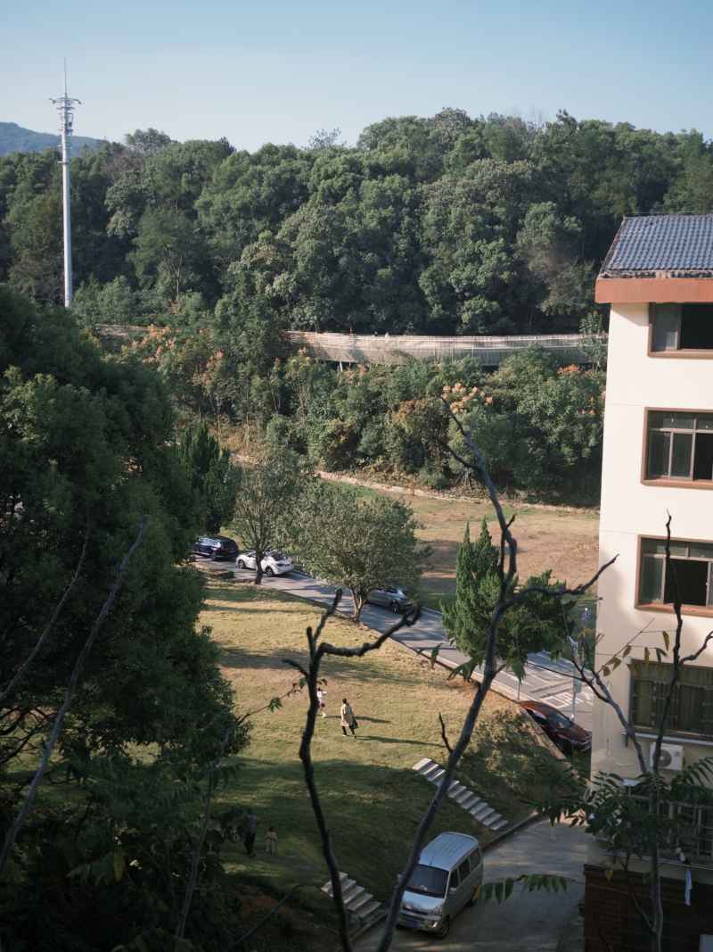 午后