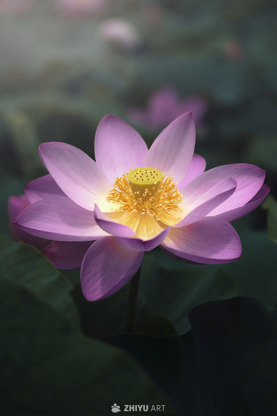 岁月静好