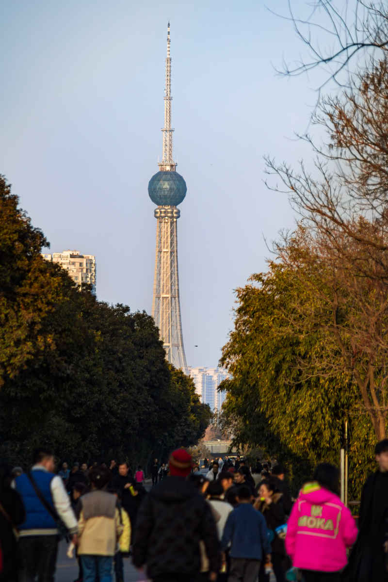 远眺洛阳电视塔