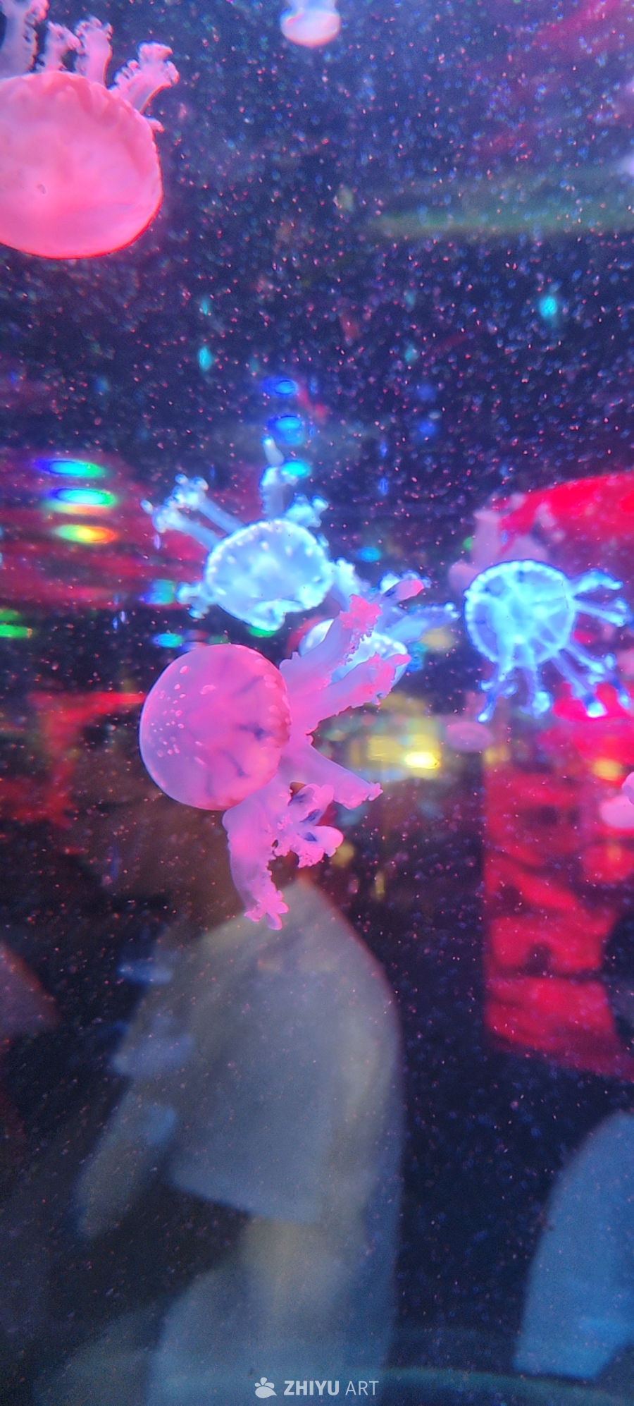 海洋馆 19