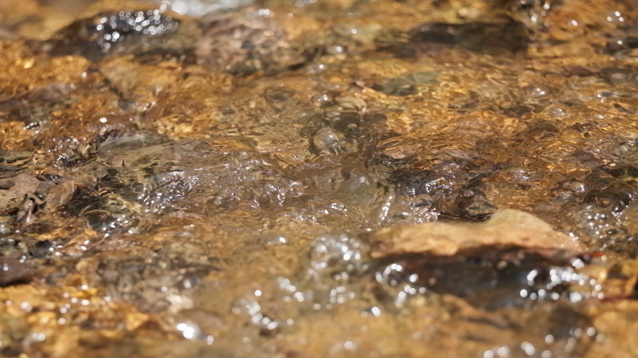 山泉水小溪瀑布河流4K实拍空镜