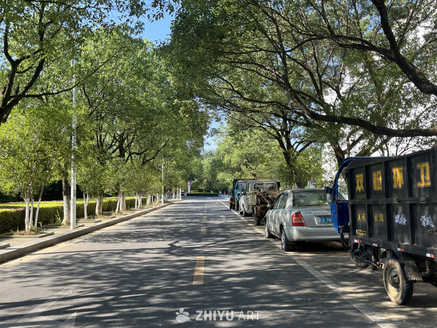 绿荫下的城市小景